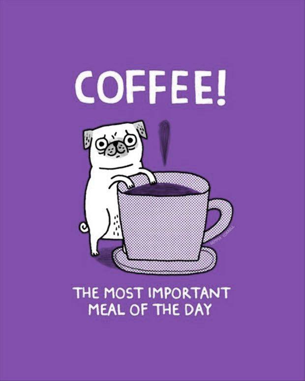 Coffee - Most Important Meal of the day
