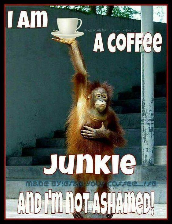 Coffee Junkie Meme