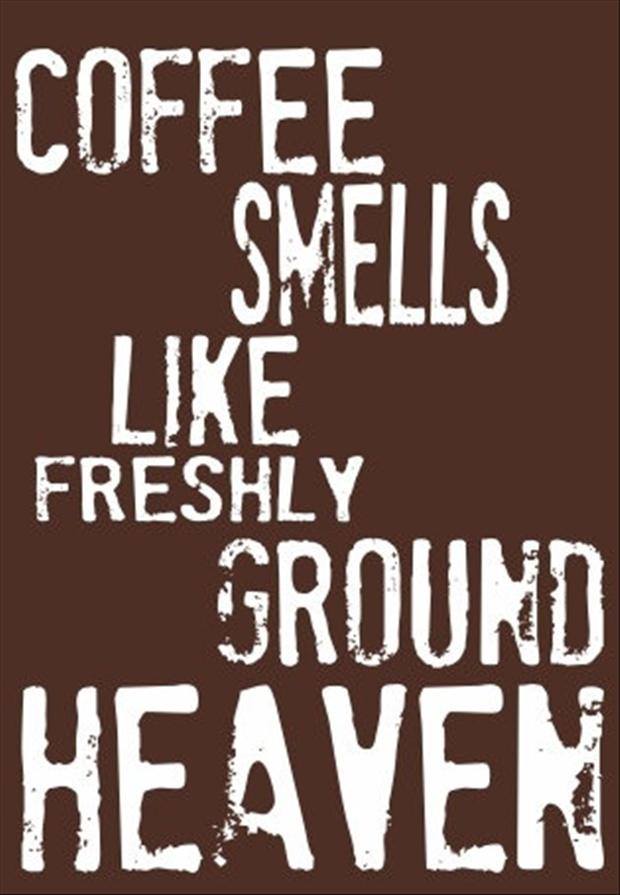 Coffee Smells Like freshly ground heaven