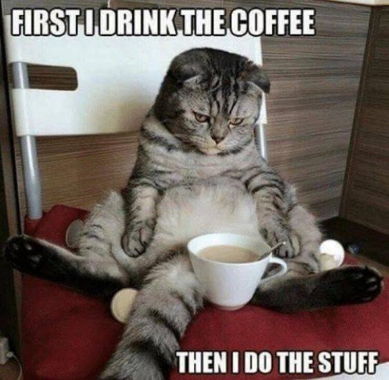 Drink Coffee Do Stuff cat