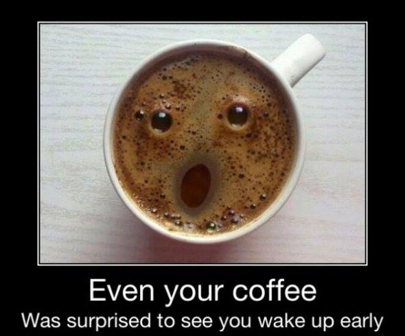 even your coffee was surprised