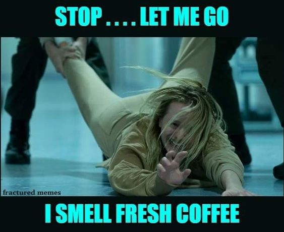 Image meme coffee, lady being dragged away yelling Let me go I smell fresh coffee