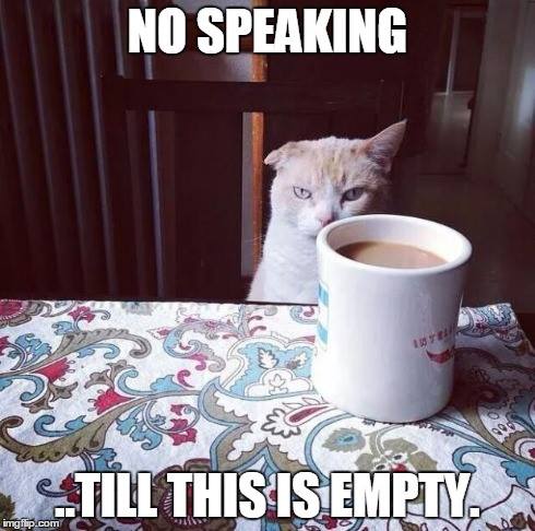 No Speaking Til Coffee Empty cat image