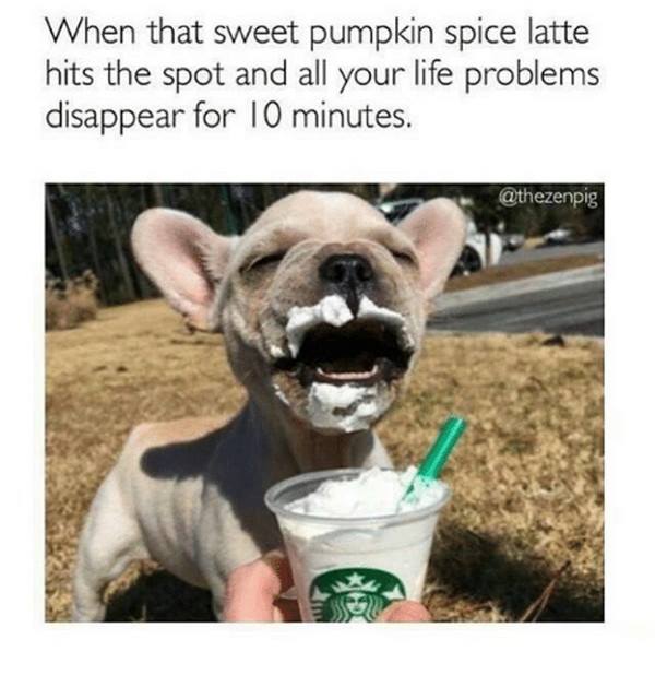 Pumpkin spice latte with dog image
