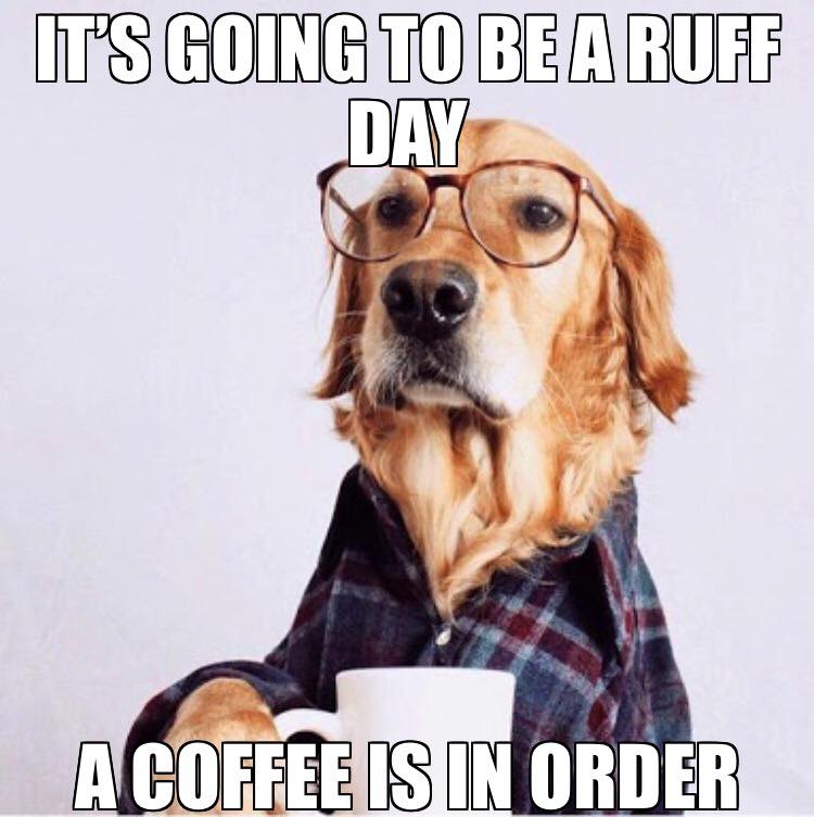 Ruff day need coffee dog meme