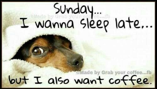 Sunday coffee meme I wanna sleep late but I also want coffee dog meme