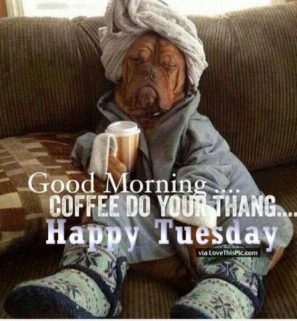 Tuesday Coffee Dog meme