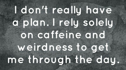 coffee meme says I don't have a plan I rely on weirdness and caffeine