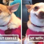 Coffee me and without coffee me