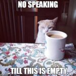 No Speaking Til Coffee Empty cat image