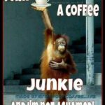 Coffee Junkie Meme