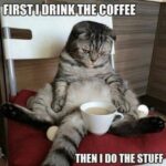 Drink the Coffee Do the Stuff cat coffee meme