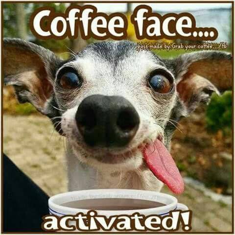 Coffee meme dog with a Coffee Face