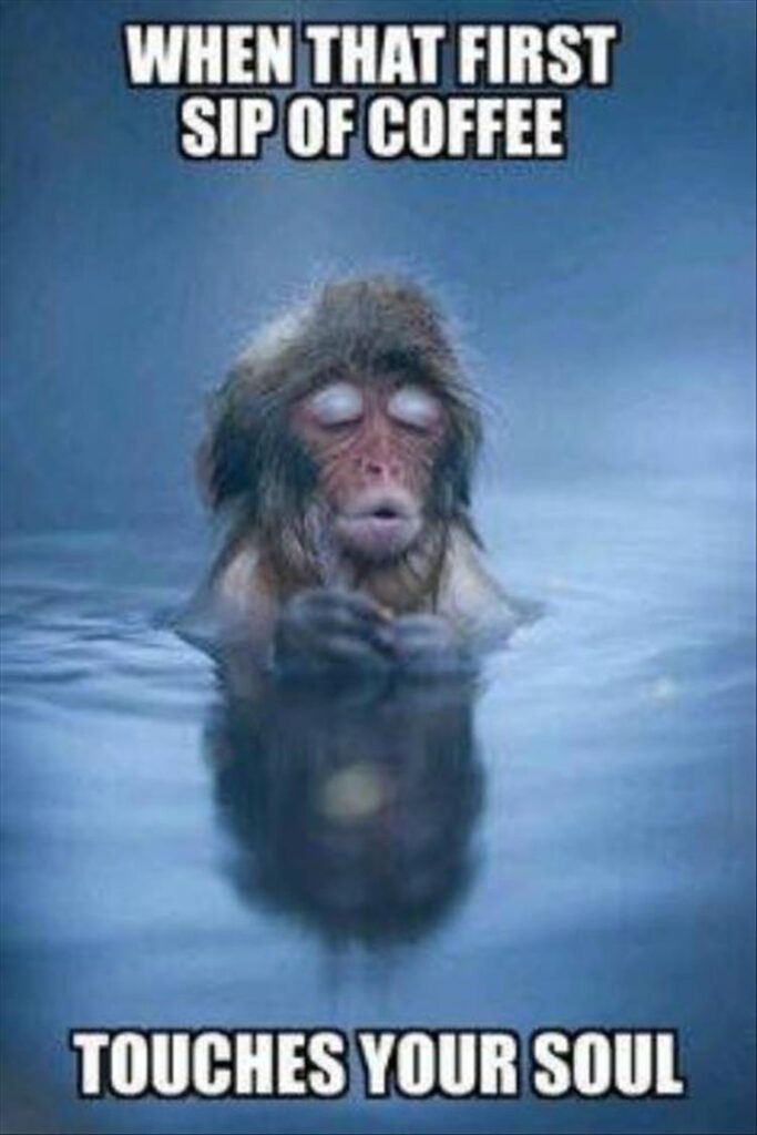 Coffee meme that shows monkey in bliss, when that first sip of coffee touches your soul