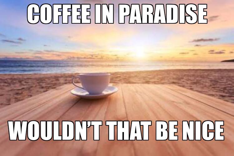 Coffee in Paradise