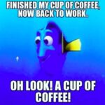 Coffee meme, a fish saying I've finished my cup of coffee, now back to work, oh, look! Coffee!