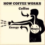 How Coffee Works