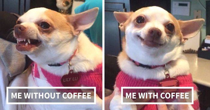 Coffee me and without coffee me