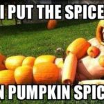 I Put the Spice in Pumpkin spice