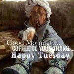 Tuesday Coffee Dog meme