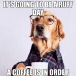 Ruff day need coffee dog meme